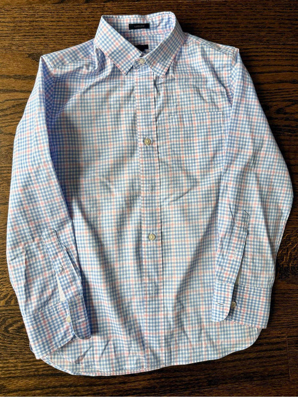 Crewcuts Boy's Blue & Pink Checked Button-Down Shirt
